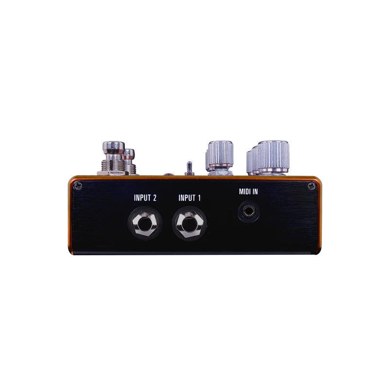 Source Audio Pathways Reverb And Tremolo Pedal