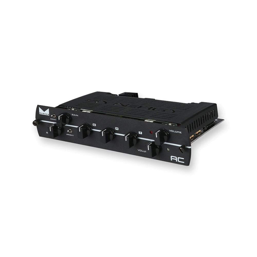 Synergy MORGAN AC Preamp Module