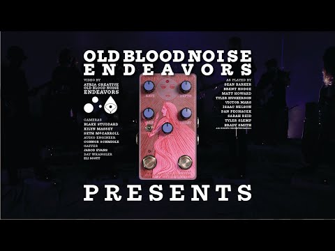 Old Blood Noise Endeavors Sunlight Dynamic Reverb Pedal