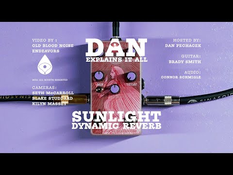 Old Blood Noise Endeavors Sunlight Dynamic Reverb Pedal