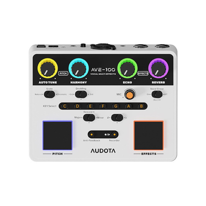 Audota AVE-100 Vocal Multi Effects