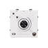 Collision Devices Singularity ONE KNOB FUZZ / DISTORTION
