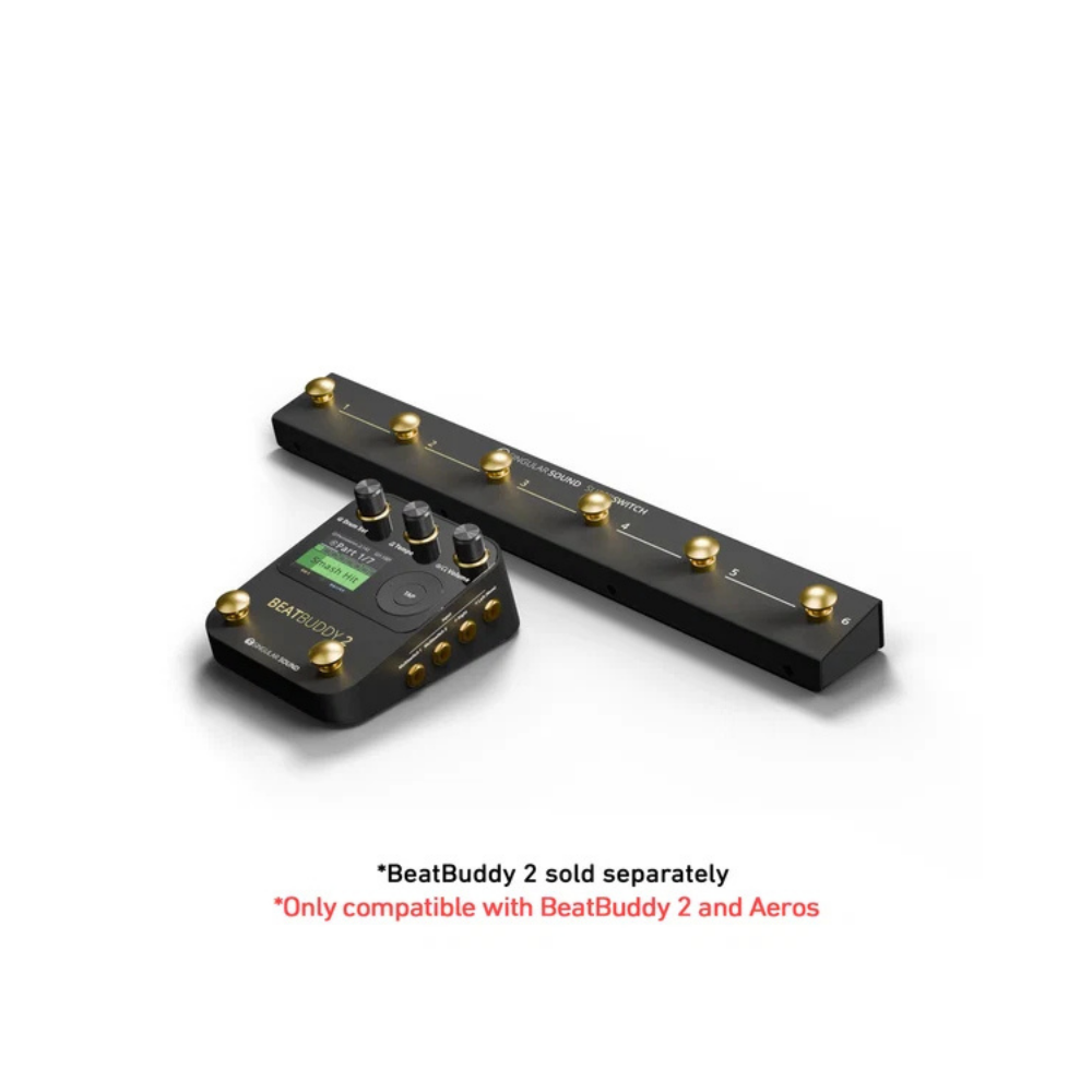 Singular Sound SuperSwitch Footswitch
