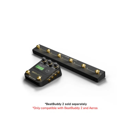 Singular Sound SuperSwitch Footswitch

