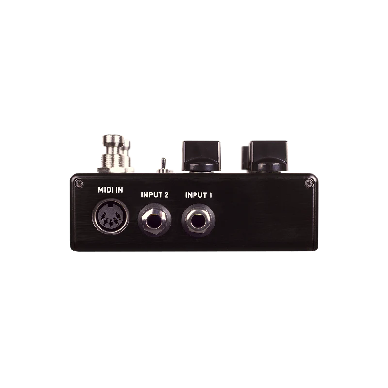 Source Audio Encounter Ambient Delay / Reverb Pedal