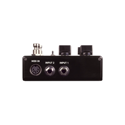 Source Audio Encounter Ambient Delay / Reverb Pedal