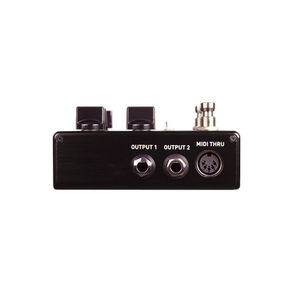 Source Audio Encounter Ambient Delay / Reverb Pedal