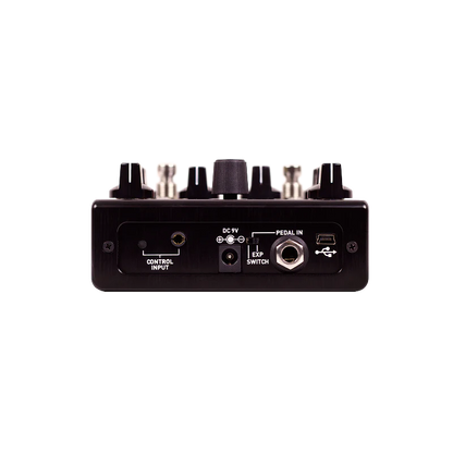 Source Audio Encounter Ambient Delay / Reverb Pedal