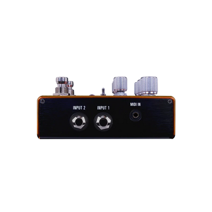 Source Audio Pathways Reverb And Tremolo Pedal