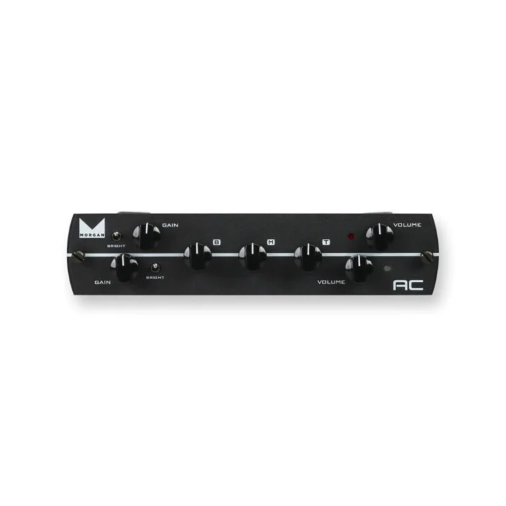 Synergy MORGAN AC Preamp Module