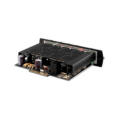 Synergy BOGNER ECSTASY Preamp Module

