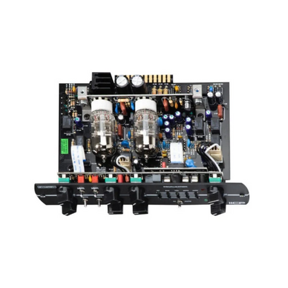 Synergy IICP Preamp Module
