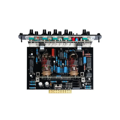 Synergy SOLDANO SLO II Preamp Module
