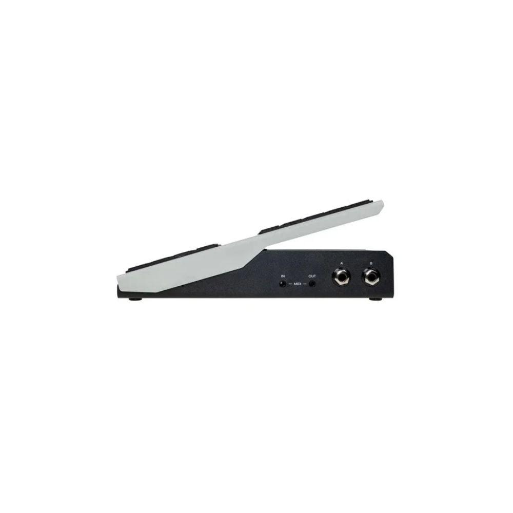 Walrus Audio Canvas Expression Pedal Side