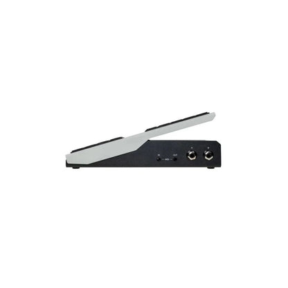 Walrus Audio Canvas Expression Pedal Side