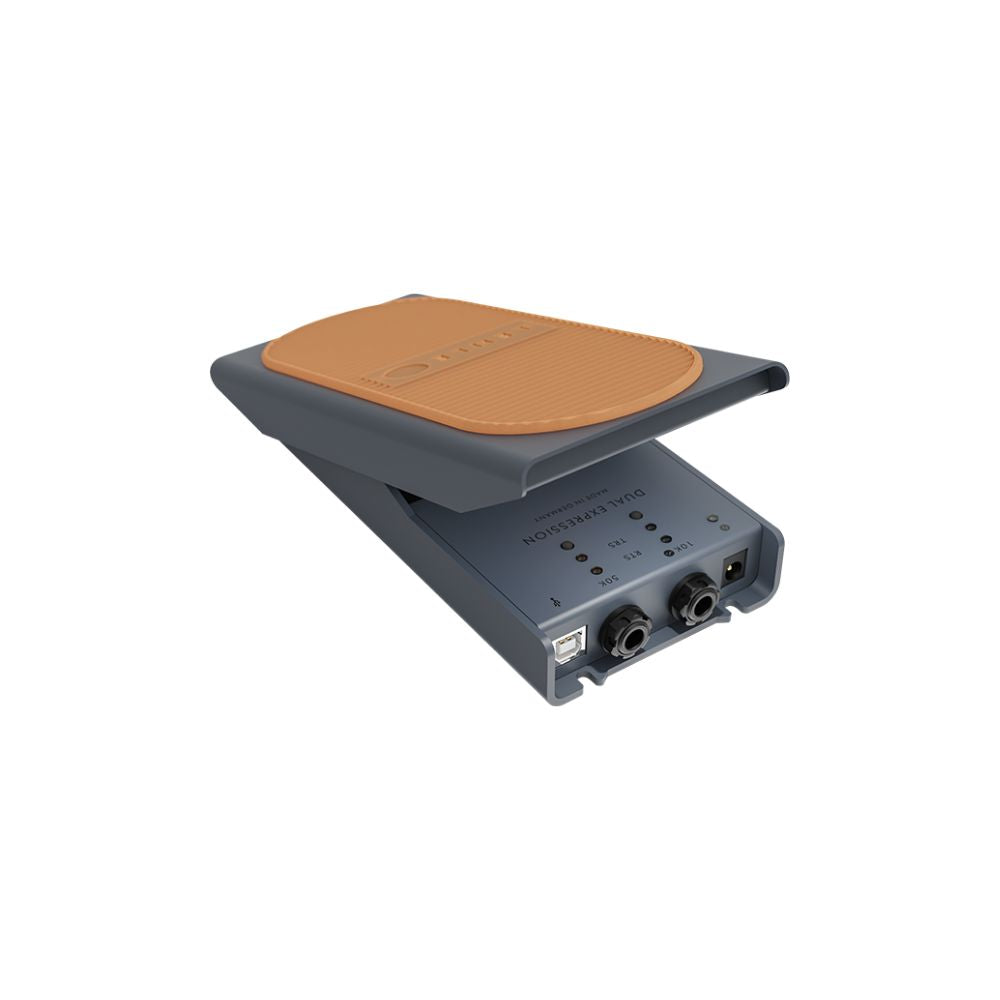 Lehle Dual Expression Controller
