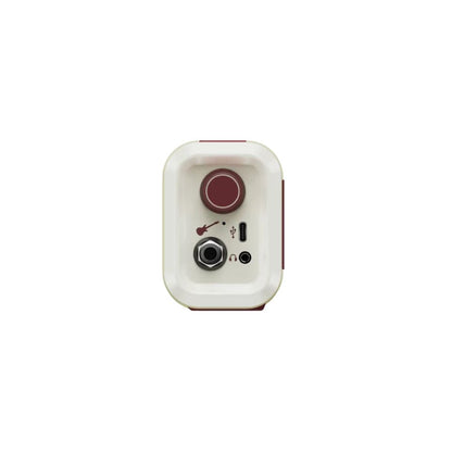Hotone Pulze Mini Amplifier Side