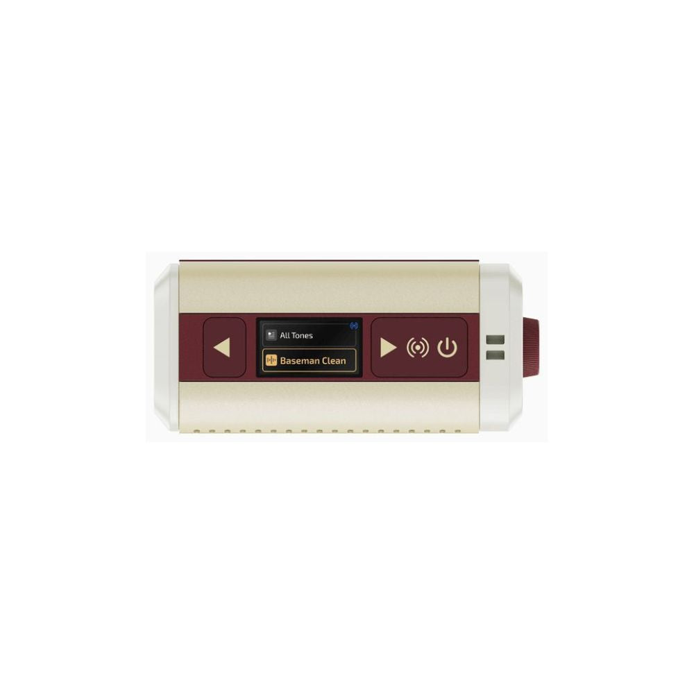 Hotone Pulze Mini Amplifier Top
