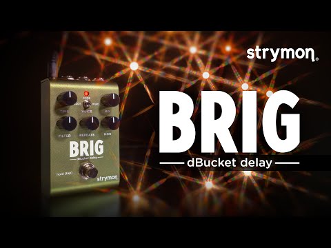 Strymon Brig Multi Voiced dBucket Delay Effect Pedal