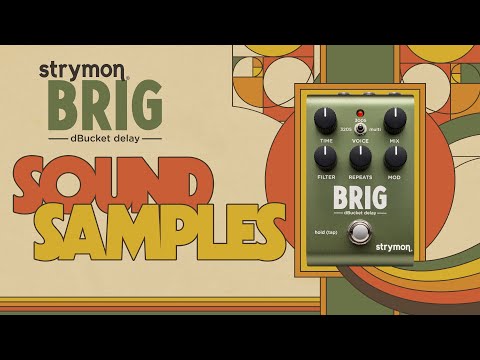 Strymon Brig Multi Voiced dBucket Delay Effect Pedal